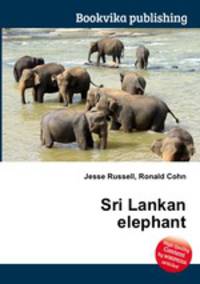 Sri Lankan elephant
