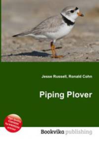 Piping Plover