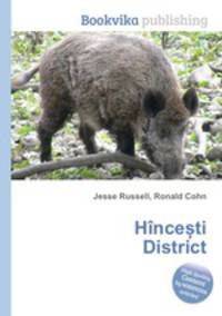 Hince?ti District