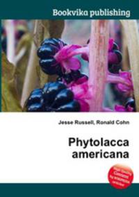Phytolacca americana