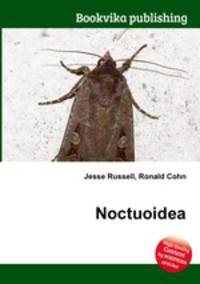 Noctuoidea