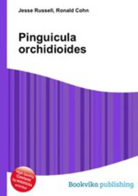 Pinguicula orchidioides