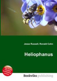 Heliophanus