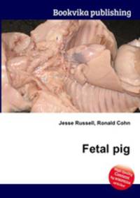 Fetal pig