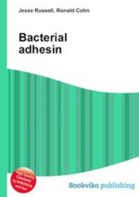 Bacterial adhesin