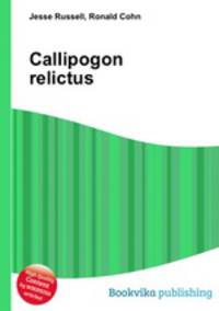 Callipogon relictus