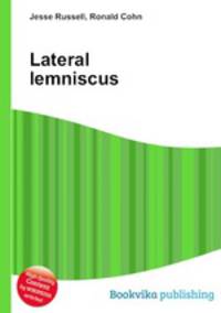 Lateral lemniscus