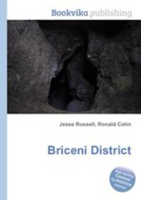 Briceni District
