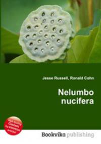 Nelumbo nucifera