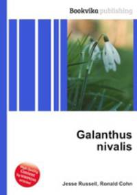 Galanthus nivalis