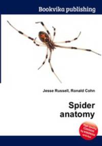 Spider anatomy