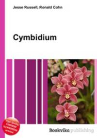 Cymbidium