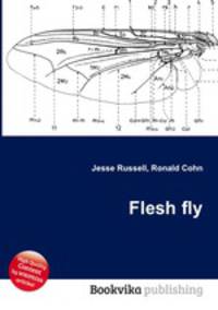 Flesh fly