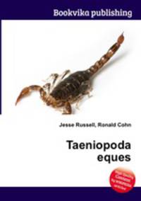 Taeniopoda eques