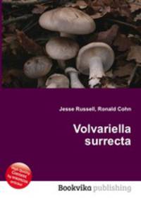 Volvariella surrecta