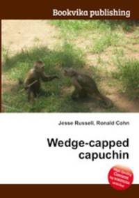 Wedge-capped capuchin