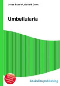 Umbellularia