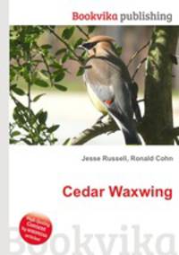 Cedar Waxwing