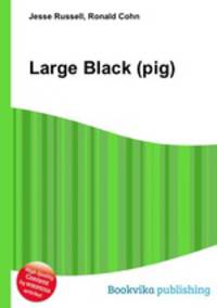 Large Black (pig)