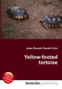 Yellow-footed tortoise