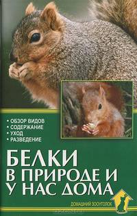 Белки в природе и у нас дома
