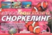 Красное море. Сноркелинг. Все рыбы и беспозвоночные, которых можно встретить под водой