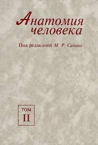 Анатомия человека. В 2 томах. Том 2