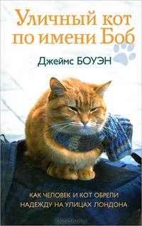 Уличный кот по имени Боб. Как человек и кот обрели надежду на улицах Лондона