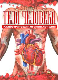 Тело человека (+ постер А1) / Жабская Т.С.