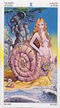 Tarot of Metamorphosis