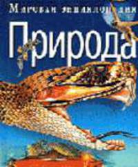 Детерминативы и квантификаторы