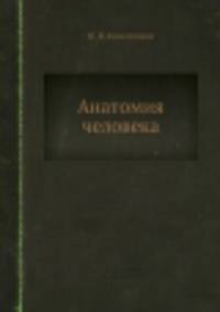 Анатомия человека
