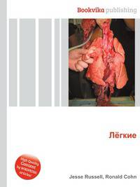 Лёгкие