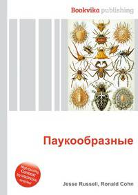 Паукообразные