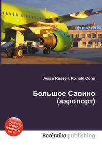 Большое Савино (аэропорт)
