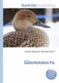 Шилохвость