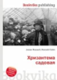 Хризантема садовая