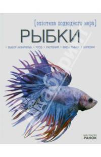 Рыбки-экзотика подводного мира - Мое хобби