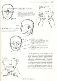 TSUBO. Vital Points for Oriental Therapy
