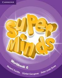 Super Minds. Level 6. Workbook