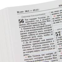 Новая учебная Библия Томпсона