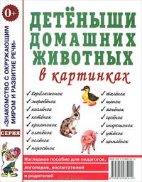 Детеныши домашних животных в картинках. Наглядное пособие для педагогов, логопедов, воспитателей и родителей. А4