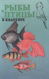 Рыбы и птицы в квартире