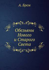 Обезьяны Нового и Старого Света