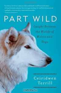 Part Wild: Caught Between the Worlds of Wolves and Dogs