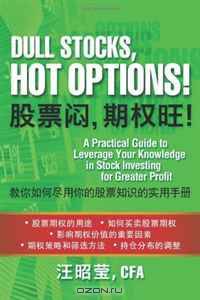 Dull Stocks, Hot Options! (in Simplified Chinese): Use options to leverage your knowledge in stocks (Chinese Edition)