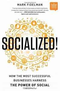 Socialized! How the Most Successful Businesses Harness the Power of Social (Social Century Series)