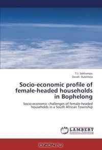 Socio-economic profile of female-headed households in Bophelong: Socio-economic challenges of female-headed households in a South African Township