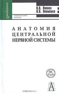 Анатомия центральной нервной системы