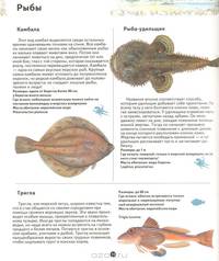 Жизнь в соленой воде. Школьный путеводитель